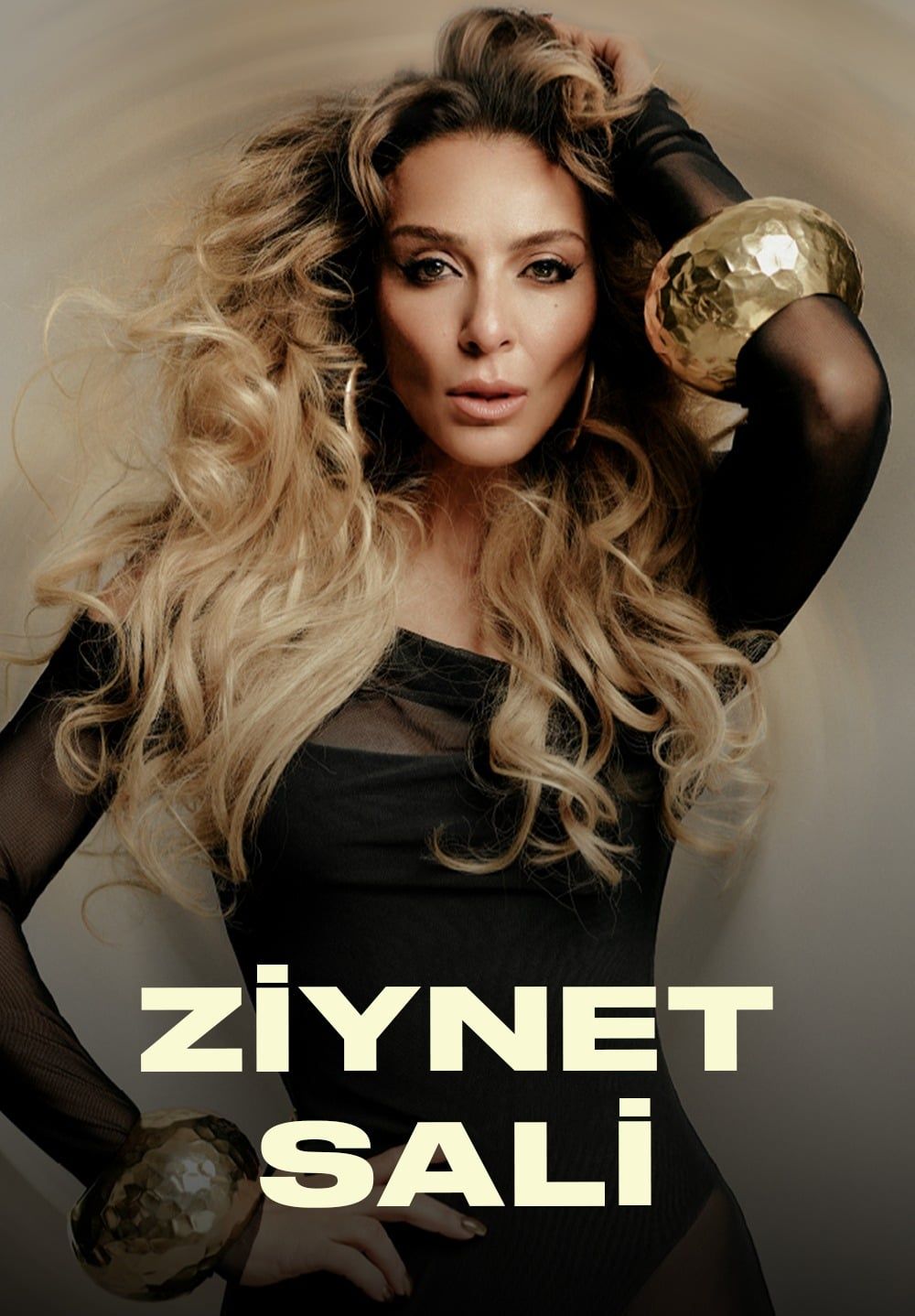Ziynet Sali Konseri