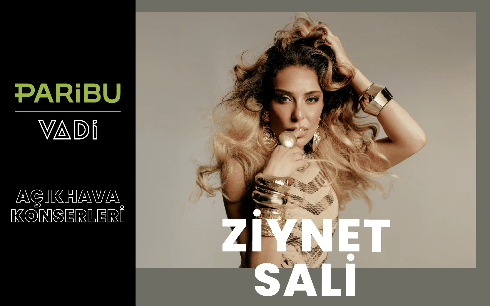 Ziynet Sali Konseri