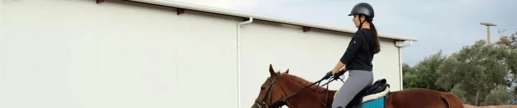 Hara Binicilik Kulübü görseli