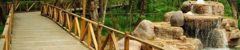 Çakırlar Korusu görseli