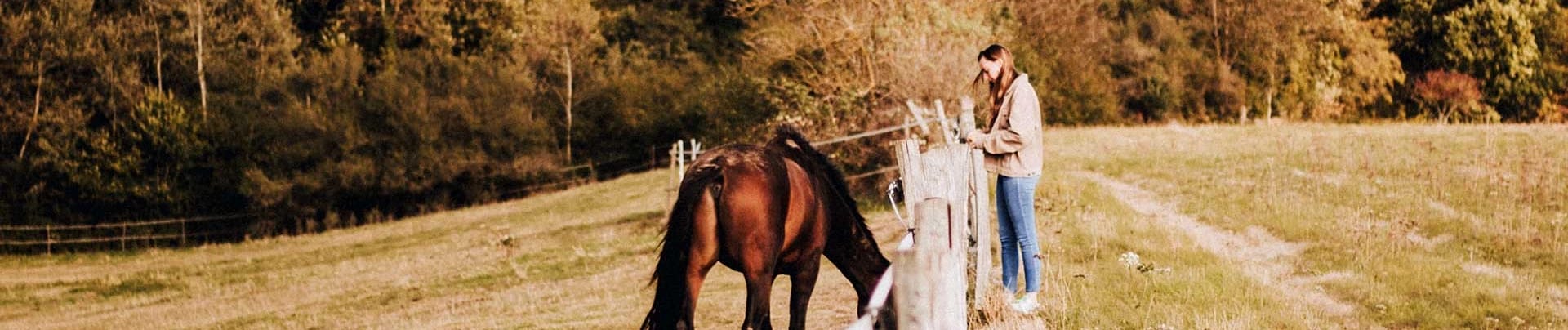Çeşme Binicilik Kulübü görseli