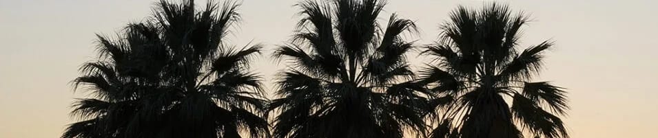 Dereli Rest&Camping görseli