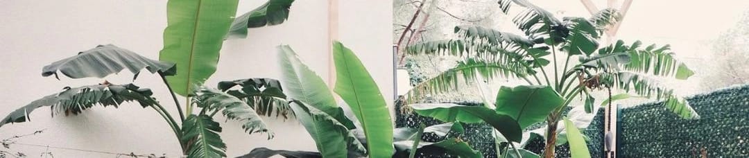 No Ondört Küçükyalı görseli