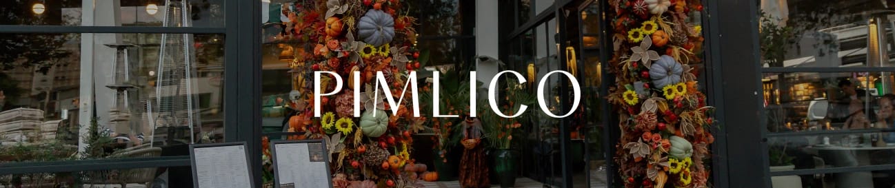 Pimlico görseli