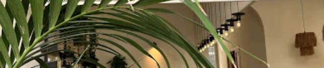 Pod Coffee & Eatery görseli