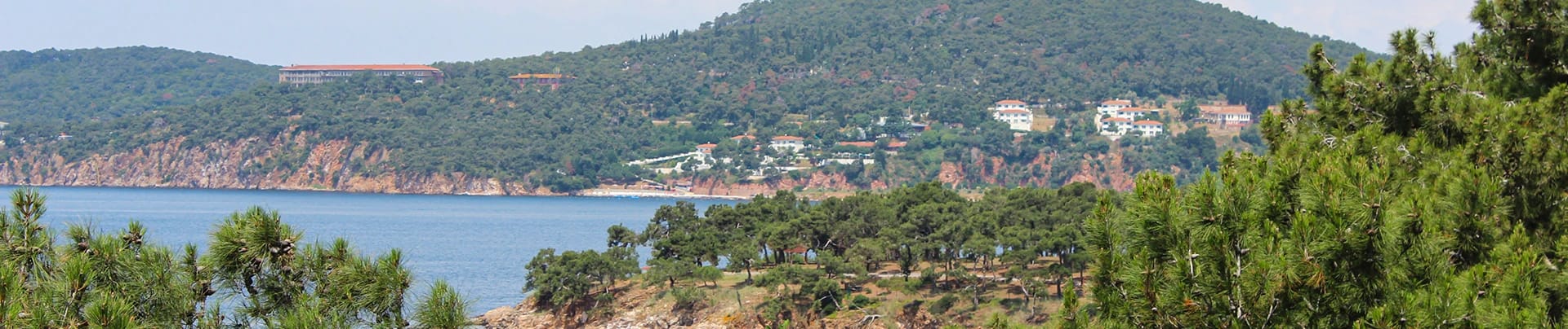 The Roof Ada görseli