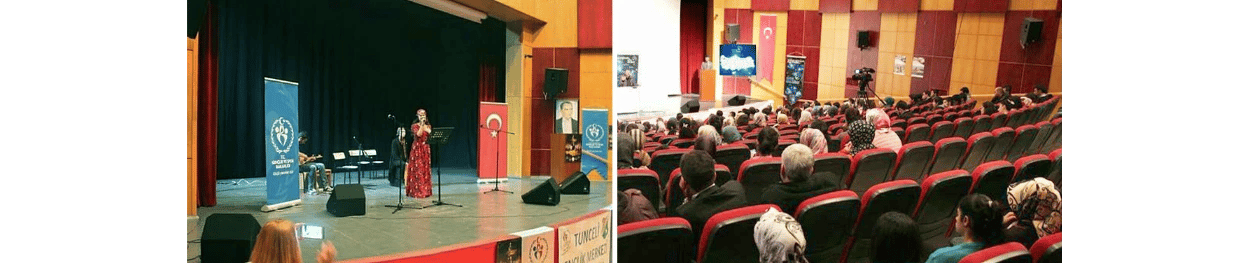 Tunceli İl Kültür Merkezi görseli