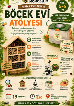 Böcek evi Atölyesi