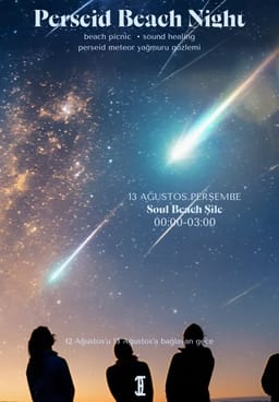 Perseid Beach Night
