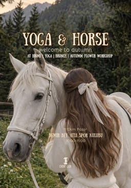 Yoga & Horse