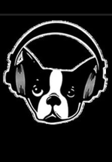 Snarky Puppy
