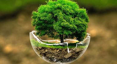 Dünya Çevre Günü