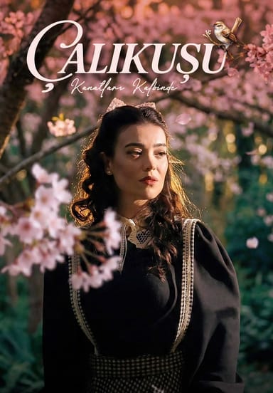 Çalıkuşu - Kanatların Kalbinde etkinlikgörseli