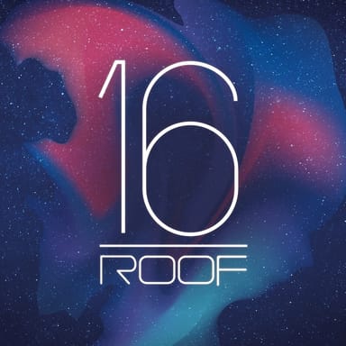 16 Roof görseli