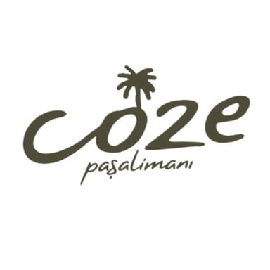 Coze Paşalimanı  görseli