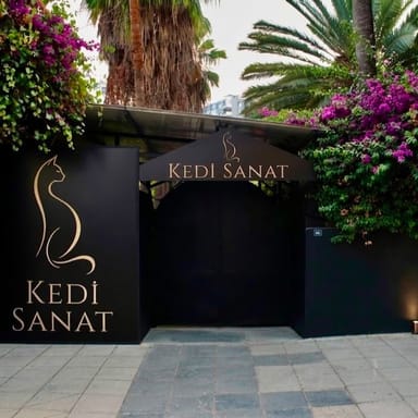Kedi Sanat Sahnesi - Mersin görseli