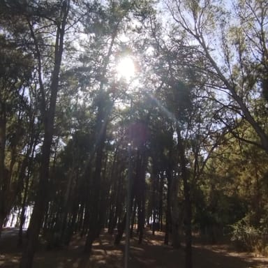 Kumluk Tabiat Parkı görseli