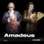 AMADEUS - Veda Turnesi