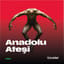 Anadolu Ateşi