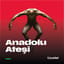 Anadolu Ateşi 