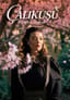 Çalıkuşu - Kanatların Kalbinde