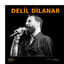 Delil Dilanar Konseri