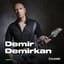 Demir Demirkan Konseri