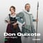 Don Quixote (Don Kişot)