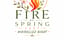 FIRE OF SPRING FEST - Hıdırellez Night