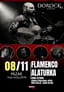 Flamenco Alaturka & Emre Altınok