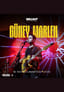 Güney Marlen Konseri