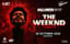 Halloween Night | The Weeknd Tribute
