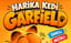 Harika Kedi Garfield