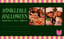 Miniklerle Halloween & Pizza Atölyesi | PizzaExpress x Mudita