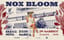 Nox Bloom & Jw Marriott | Ankara