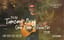 One Man Acoustic
