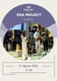 Sisa Project by Sami İrek