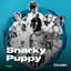 Snarky Puppy