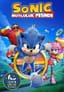 Sonic Mutluluk Peşinde Çocuk Oyunu