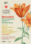 Soundscape Festival Istanbul 2026