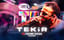 Tekir