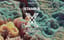 X by ADRIATIQUE