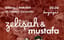 Zelişah & Mustafa Konseri