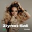 Ziynet Sali