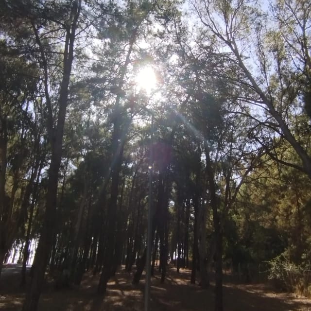 Kumluk Tabiat Parkı