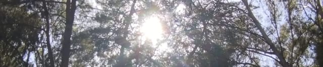 Kumluk Tabiat Parkı