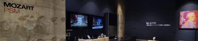 Mozart PSM - Ege Perla