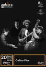 30. Uluslararası Ankara Caz Festivali - Calico Plus