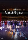 AMADEUS - Veda Turnesi