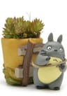 Anka Workshop: Heykel Workshop - Totoro Saksı Heykeli